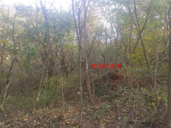 경상남도 거창군 가조면 수월리 146-5 전 경매 사진 26