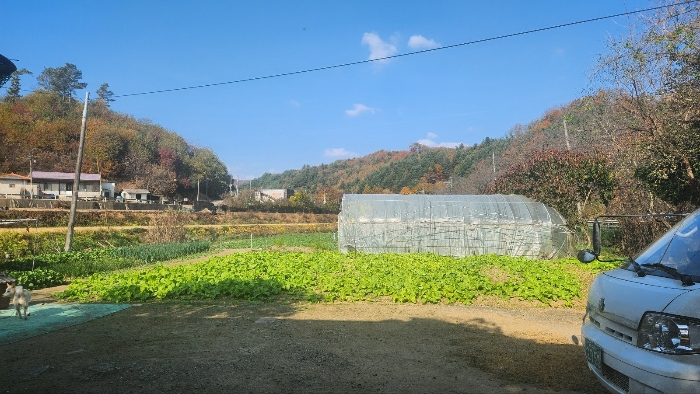 충청남도 천안시 동남구 북면 운용리 401-1 외 3필지 동물및식물관련시설 경매 사진 18