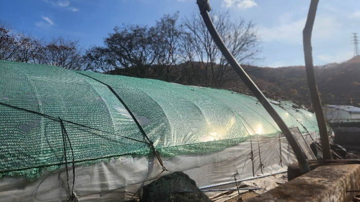 충청남도 천안시 동남구 북면 운용리 401-1 외 3필지 동물및식물관련시설 경매 사진 20