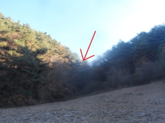 강원특별자치도 평창군 미탄면 율치리 6 전 경매 사진 1