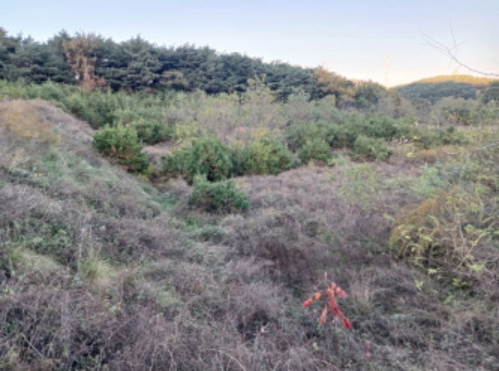 충청남도 서산시 운산면 고산리 427 외 1필지 전 경매 사진 3