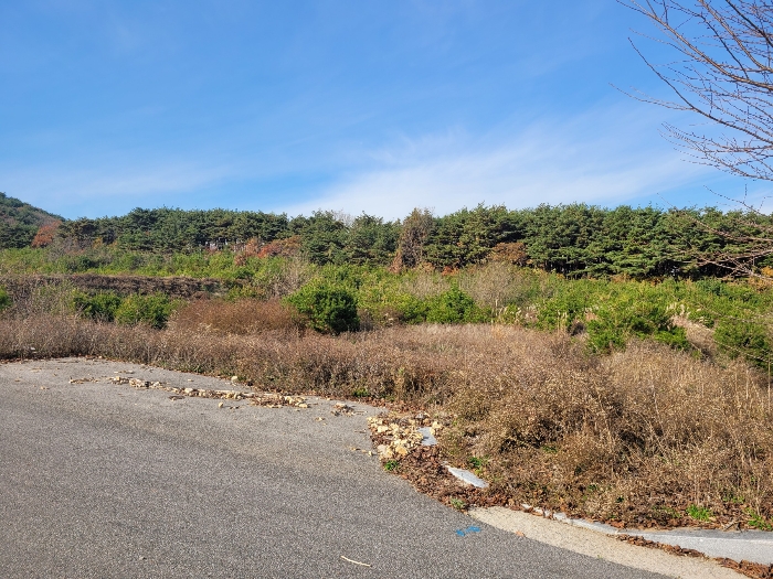 충청남도 서산시 운산면 고산리 427 외 1필지 전 경매 사진 21