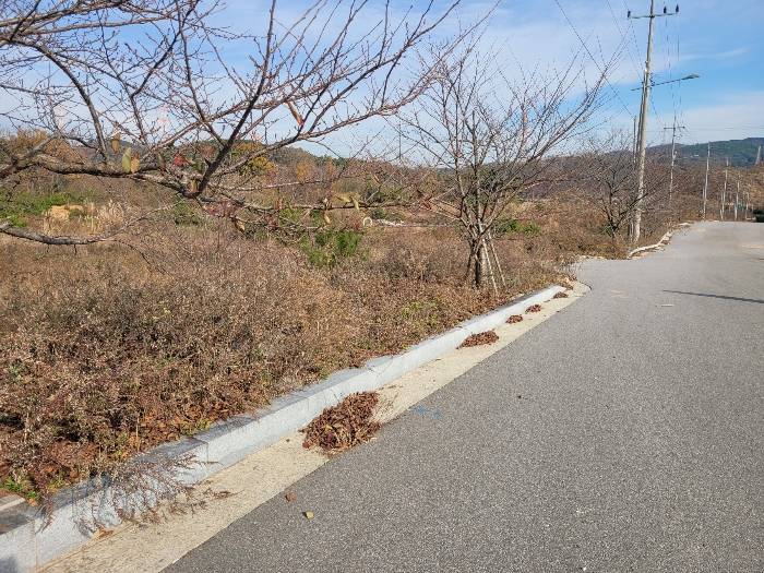 충청남도 서산시 운산면 고산리 427 외 1필지 전 경매 사진 30