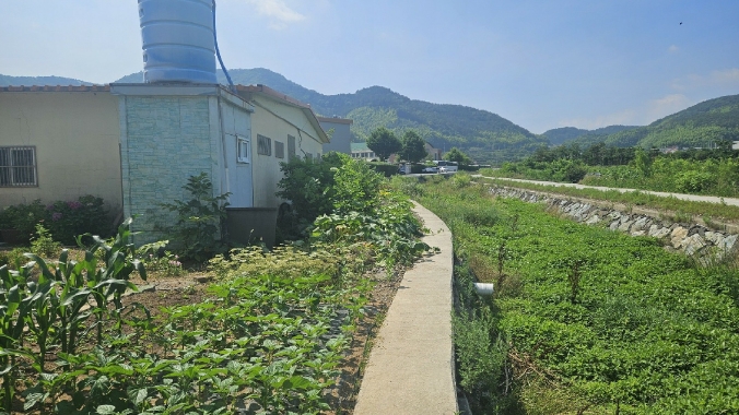 경남 거제시 하청면 하청리 713-1 외 1필지 근린생활시설 경매 사진 7