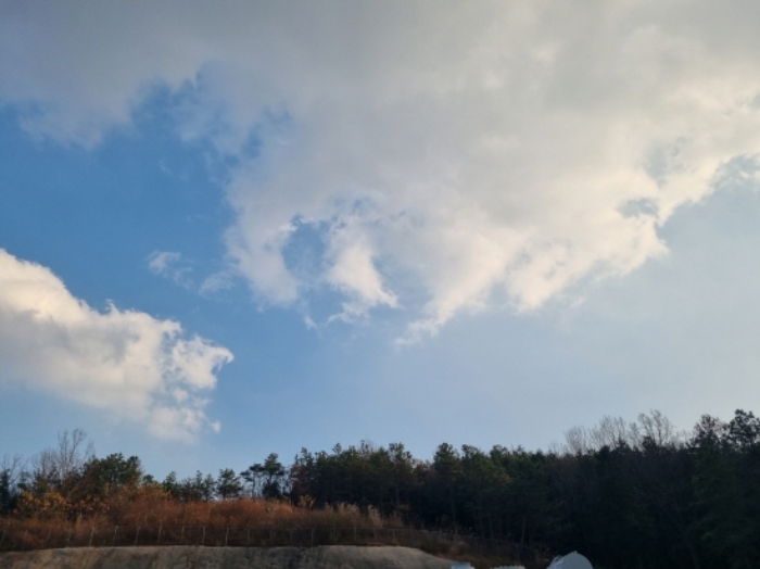 전라남도 보성군 보성읍 용문리 613-7 외 1필지 근린생활시설 경매 사진 21
