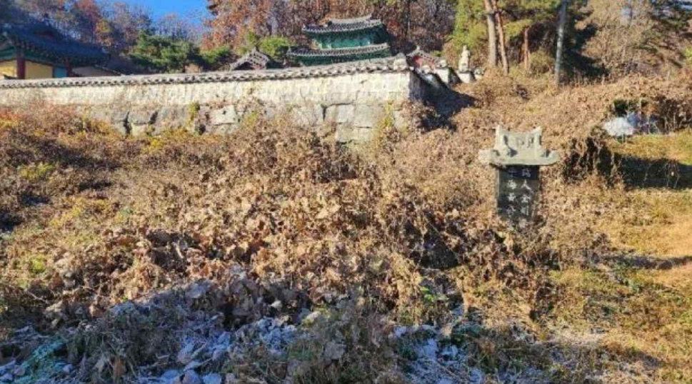 강원특별자치도 원주시 흥업면 사제리 1043-7 외 2필지 종교용지 경매 사진 4
