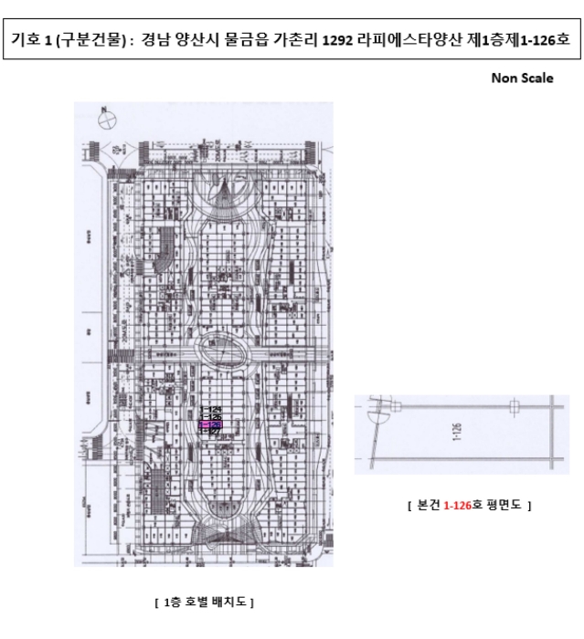 경남 양산시 물금읍 가촌리 1292, 1층1-126호 (라피에스타양산) 근린상가 경매 사진 6