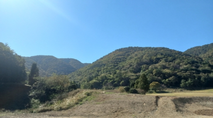 경상남도 거제시 옥포동 산123-2 임야 경매 사진 1