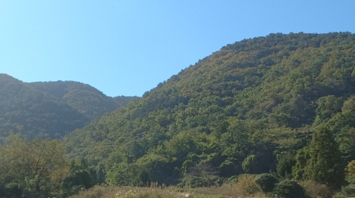 경상남도 거제시 옥포동 산123-2 임야 경매 사진 2