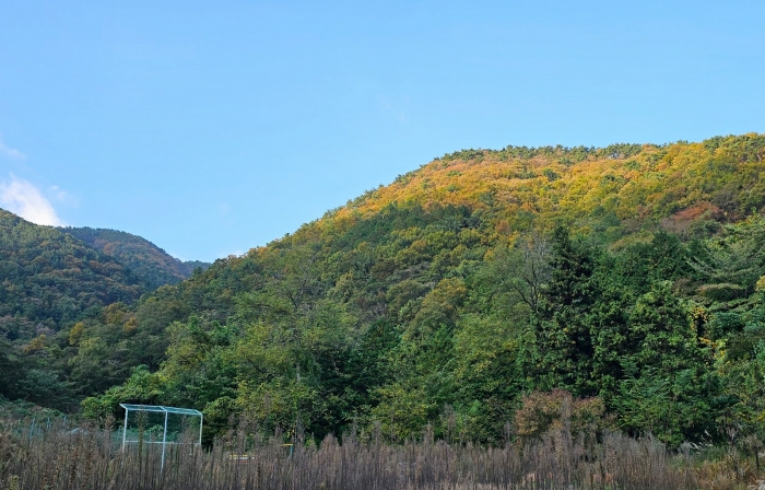 경상남도 거제시 옥포동 산123-2 임야 경매 사진 3