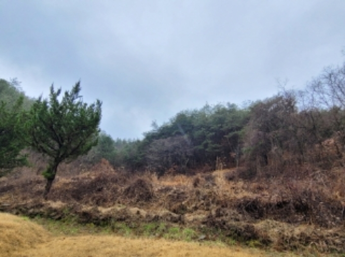 경상남도 진주시 미천면 효자리 194 외 1필지 전 경매 사진 1