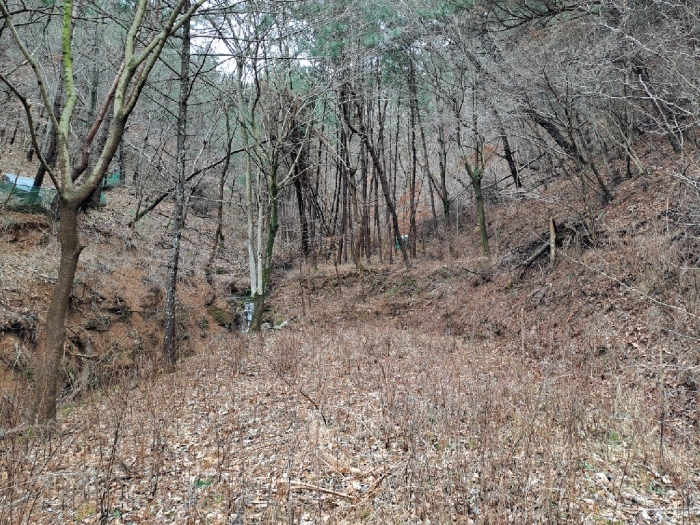 경상남도 진주시 미천면 효자리 194 외 1필지 전 경매 사진 3