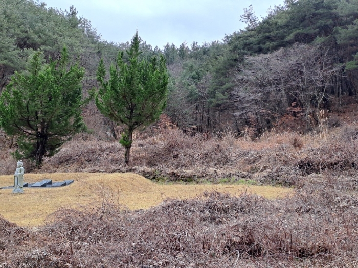 경상남도 진주시 미천면 효자리 194 외 1필지 전 경매 사진 4