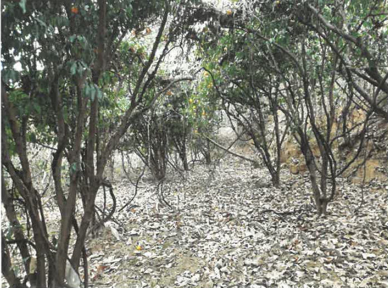 경상남도 남해군 서면 정포리 925 외 2필지 답 경매 사진 1