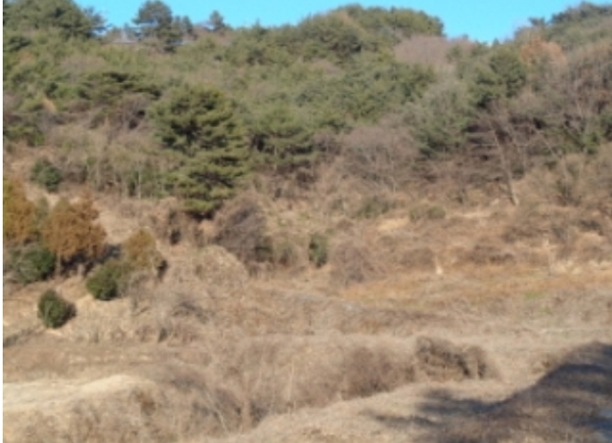 경상남도 남해군 서면 정포리 925 외 2필지 답 경매 사진 5
