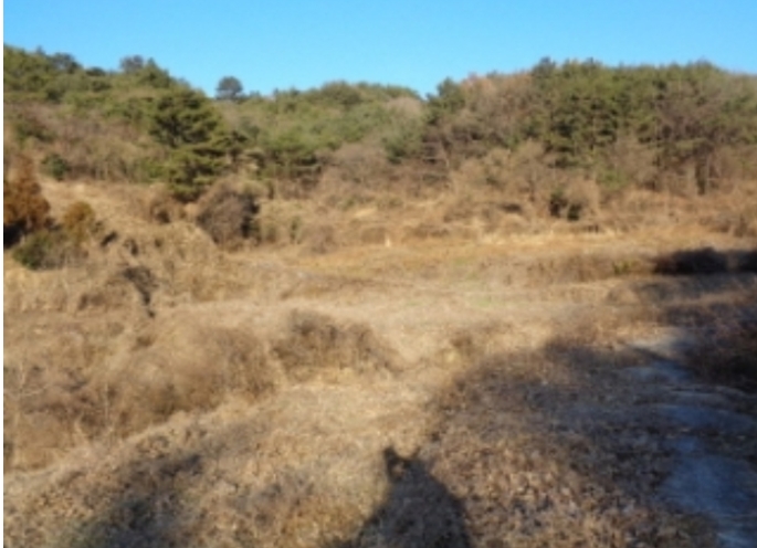 경상남도 남해군 서면 정포리 925 외 2필지 답 경매 사진 6