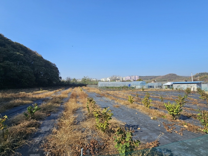 경기도 파주시 문산읍 선유리 230-5 외 3필지 답 경매 사진 18