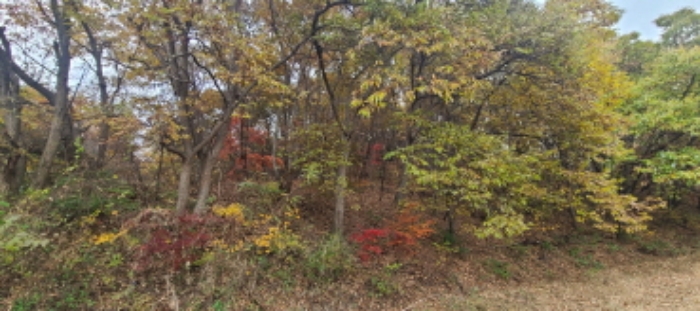 경기도 파주시 문산읍 선유리 230-5 외 3필지 답 경매 사진 3