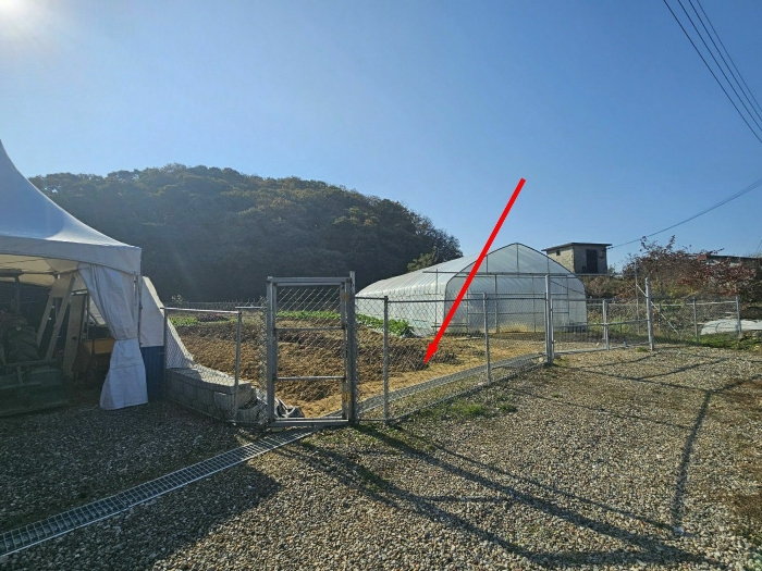 경기도 파주시 문산읍 선유리 230-5 외 3필지 답 경매 사진 22