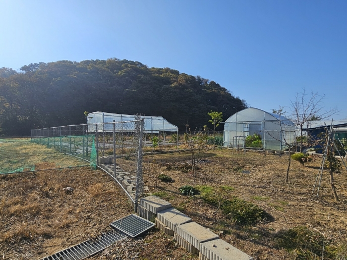 경기도 파주시 문산읍 선유리 230-5 외 3필지 답 경매 사진 23