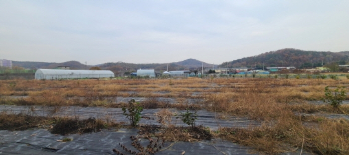 경기도 파주시 문산읍 선유리 230-5 외 3필지 답 경매 사진 4