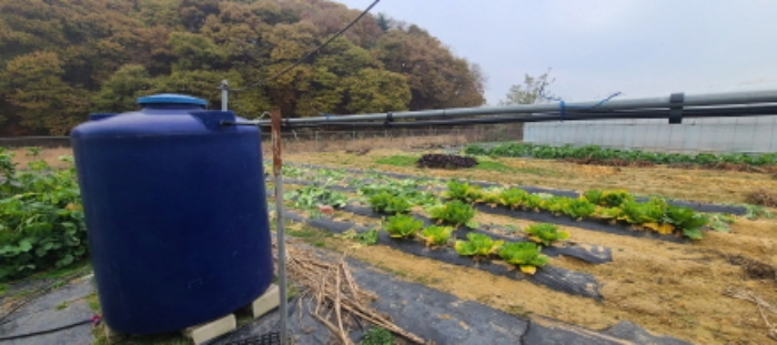 경기도 파주시 문산읍 선유리 230-5 외 3필지 답 경매 사진 5
