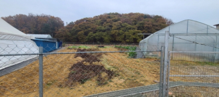 경기도 파주시 문산읍 선유리 230-5 외 3필지 답 경매 사진 9