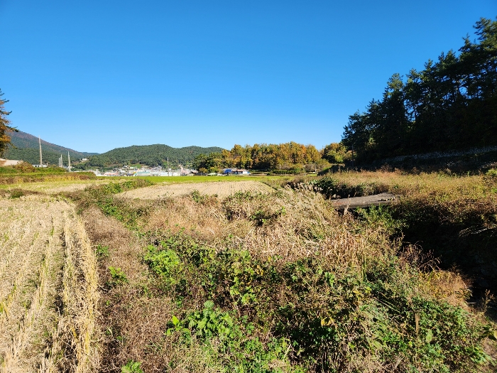 경상남도 남해군 삼동면 지족리 619 외 1필지 답 경매 사진 5