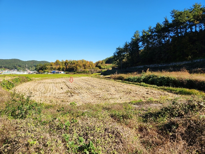 경상남도 남해군 삼동면 지족리 619 외 1필지 답 경매 사진 7