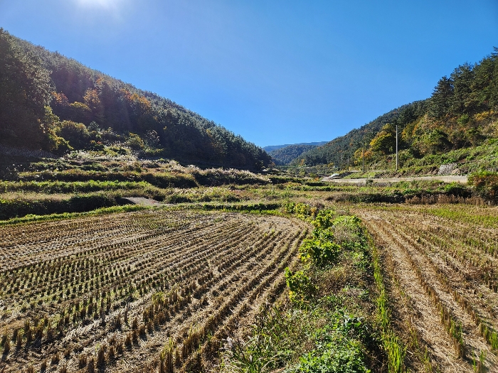 경상남도 남해군 삼동면 지족리 619 외 1필지 답 경매 사진 8