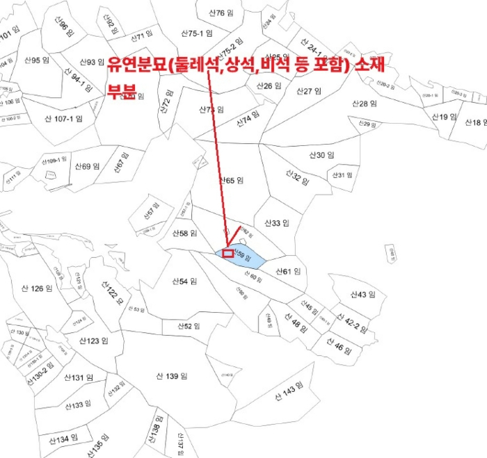 인천광역시 강화군 길상면 동검리 산59 임야 경매 사진 20