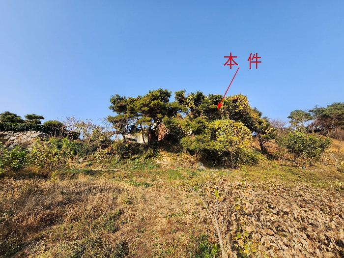 경기도 화성시 남양읍 장덕리 949-8 외 3필지 임야 경매 사진 8