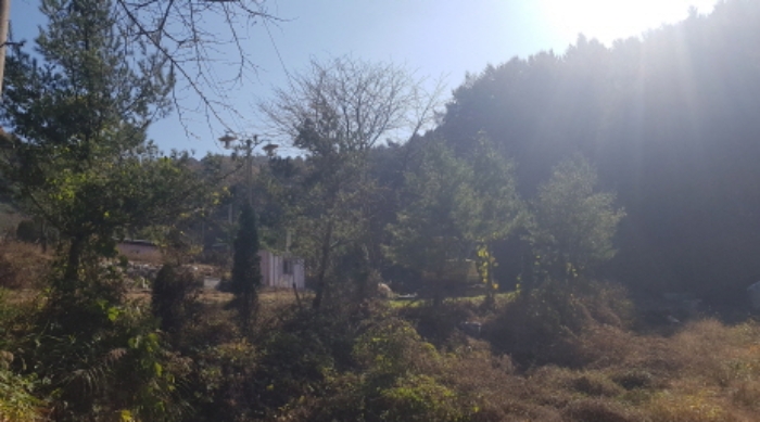 경기도 안성시 죽산면 용설리 314-18 외 1필지 하천 경매 사진 2