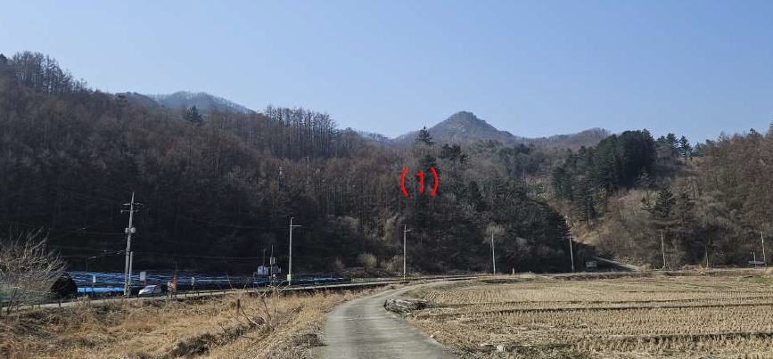 강원특별자치도 춘천시 남면 발산리 산58 임야 경매 사진 1