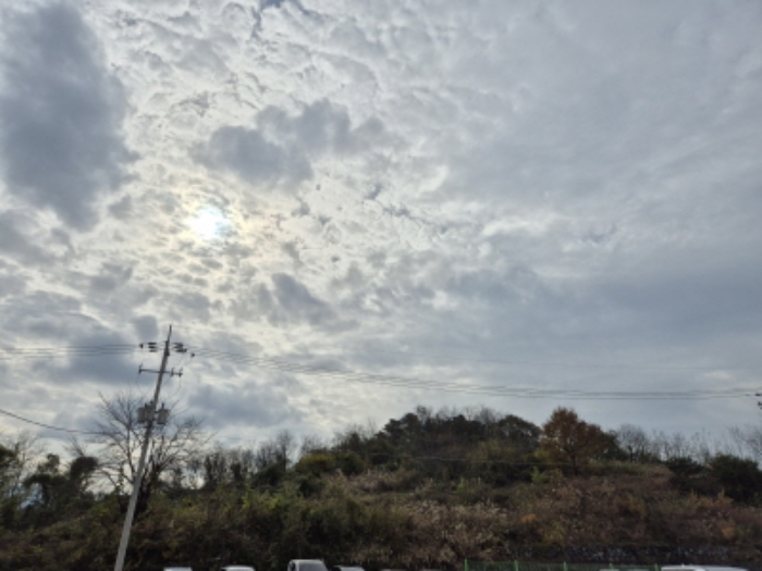 경상북도 경주시 내남면 월산리 산140-4 외 3필지 목장용지 경매 사진 2
