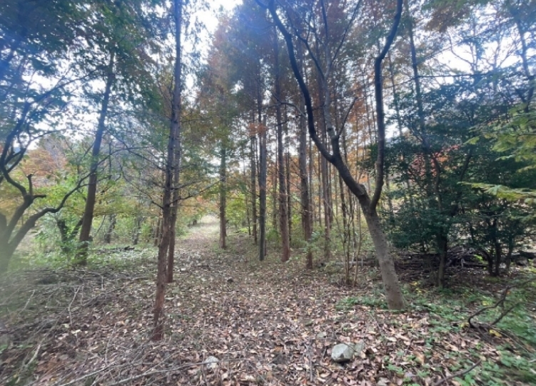 경상남도 창원시 성산구 양곡동 1091 외 23필지 단독주택 경매 사진 1
