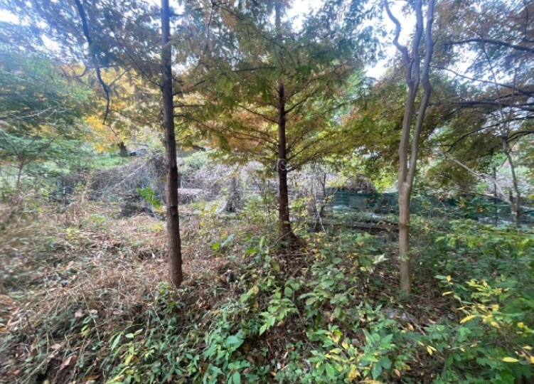경상남도 창원시 성산구 양곡동 1091 외 23필지 단독주택 경매 사진 2