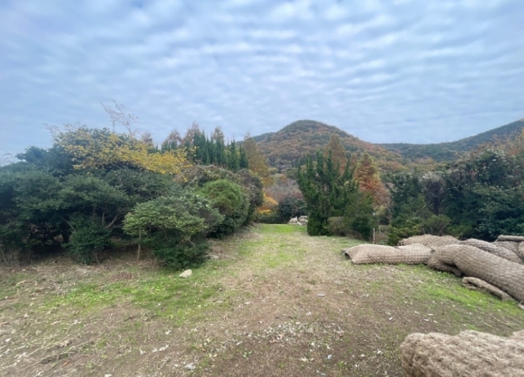 경상남도 창원시 성산구 양곡동 1091 외 23필지 단독주택 경매 사진 4