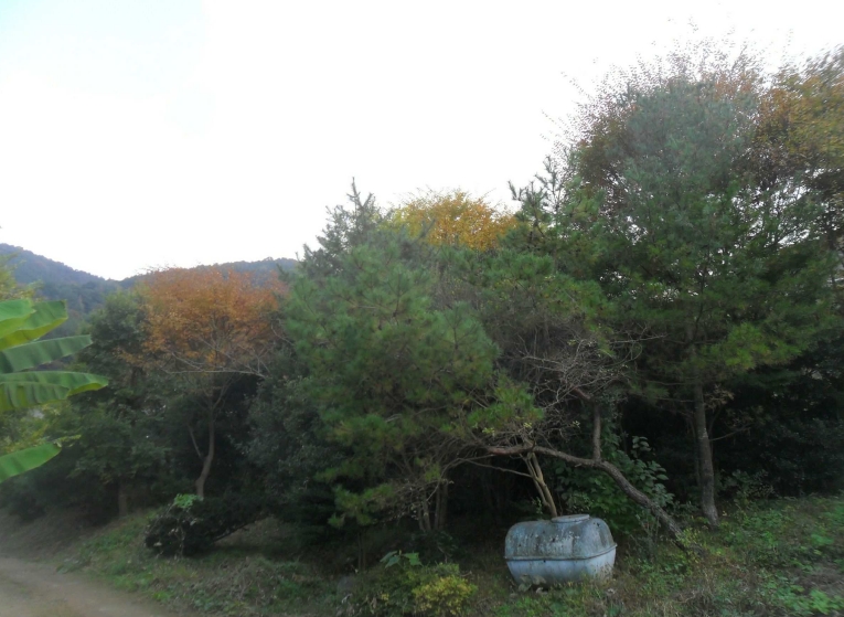 경상남도 창원시 성산구 양곡동 1091 외 23필지 단독주택 경매 사진 34
