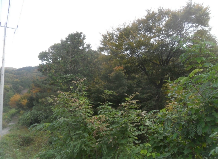 경상남도 창원시 성산구 양곡동 1091 외 23필지 단독주택 경매 사진 35