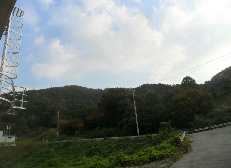 경상남도 창원시 성산구 양곡동 1091 외 23필지 단독주택 경매 사진 36
