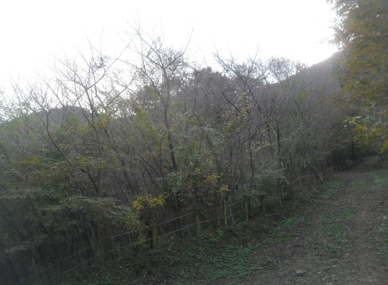경상남도 창원시 성산구 양곡동 1091 외 23필지 단독주택 경매 사진 37