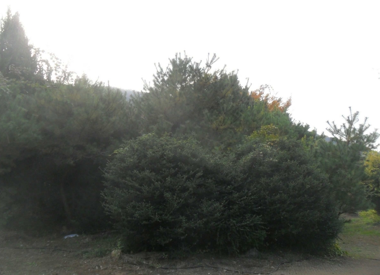경상남도 창원시 성산구 양곡동 1091 외 23필지 단독주택 경매 사진 39