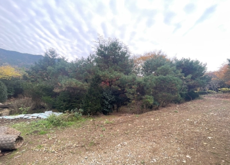 경상남도 창원시 성산구 양곡동 1091 외 23필지 단독주택 경매 사진 5