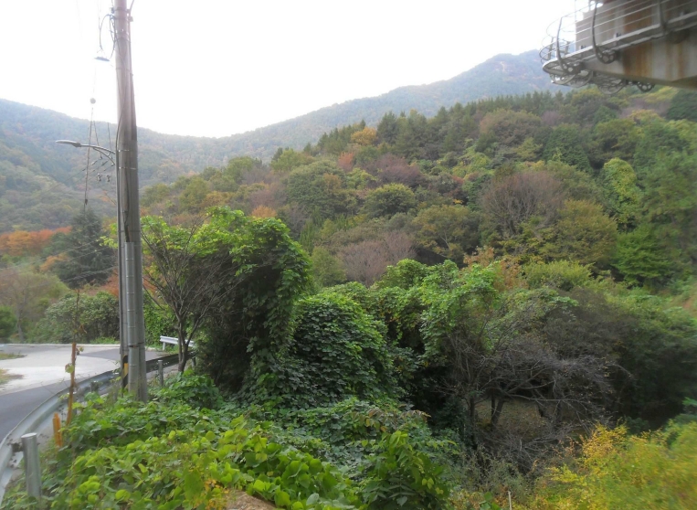경상남도 창원시 성산구 양곡동 1091 외 23필지 단독주택 경매 사진 41