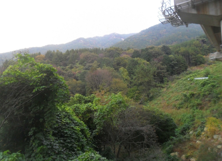 경상남도 창원시 성산구 양곡동 1091 외 23필지 단독주택 경매 사진 42
