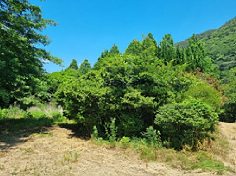 경상남도 창원시 성산구 양곡동 1091 외 23필지 단독주택 경매 사진 47