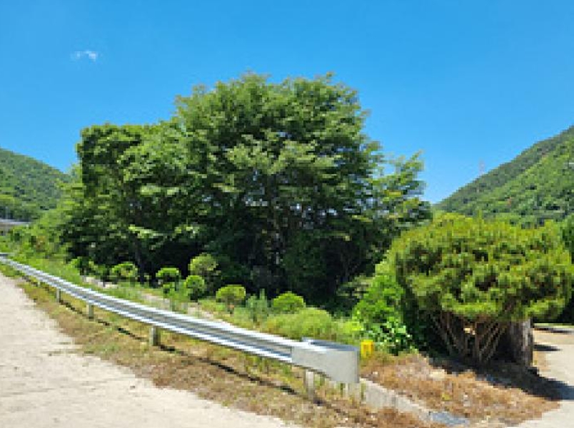 경상남도 창원시 성산구 양곡동 1091 외 23필지 단독주택 경매 사진 50