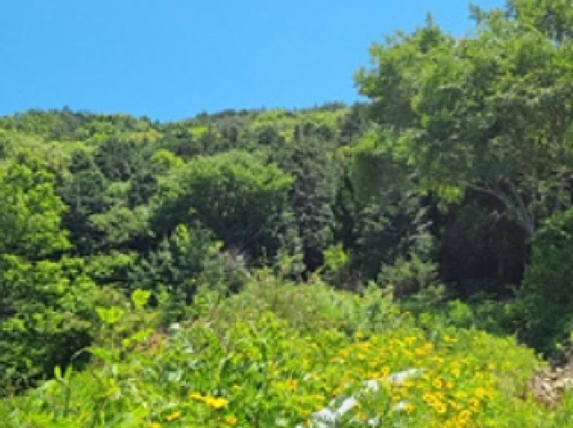 경상남도 창원시 성산구 양곡동 1091 외 23필지 단독주택 경매 사진 53