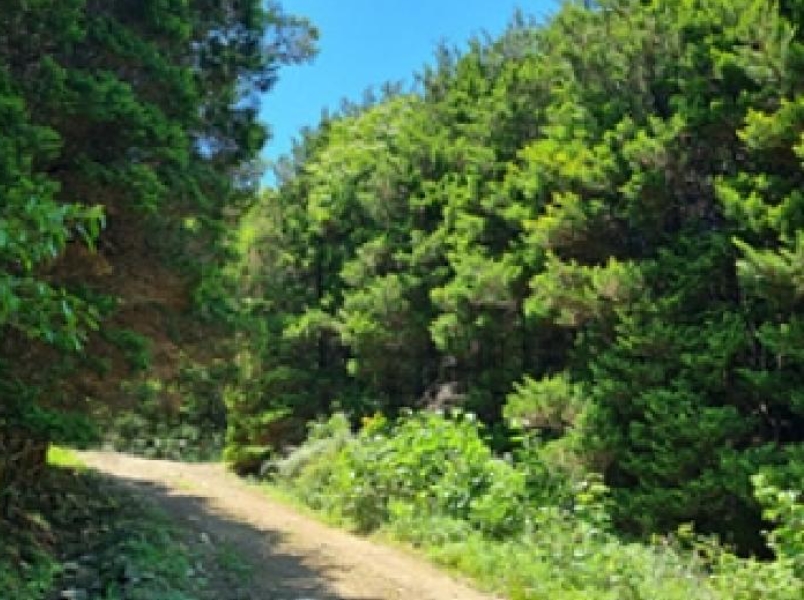 경상남도 창원시 성산구 양곡동 1091 외 23필지 단독주택 경매 사진 54